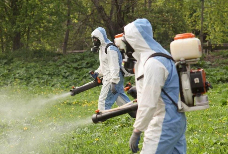 ФОТО Уничтожение клопов в Тимашевске