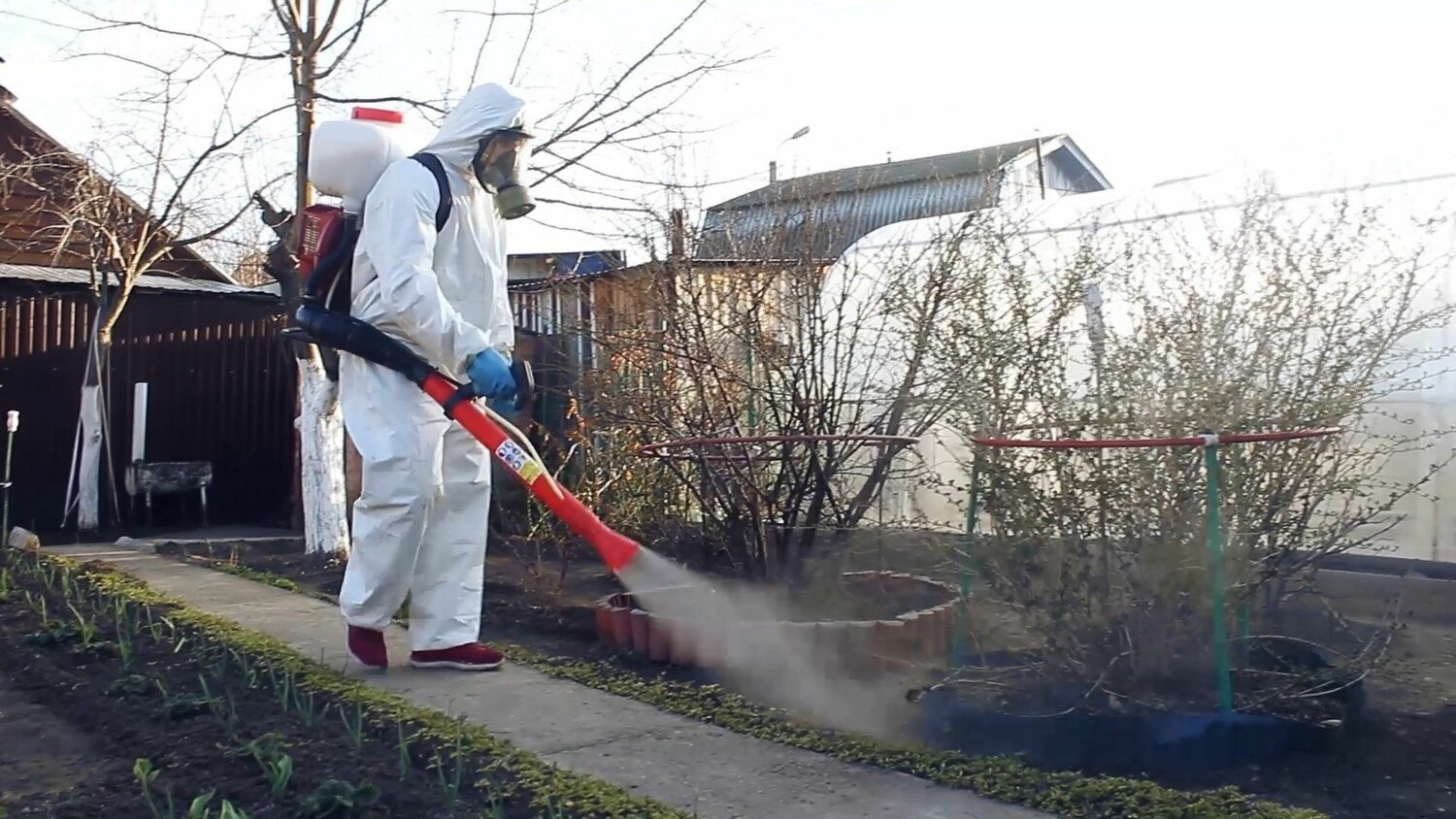 ФОТО Уничтожение муравьёв в Тимашевске