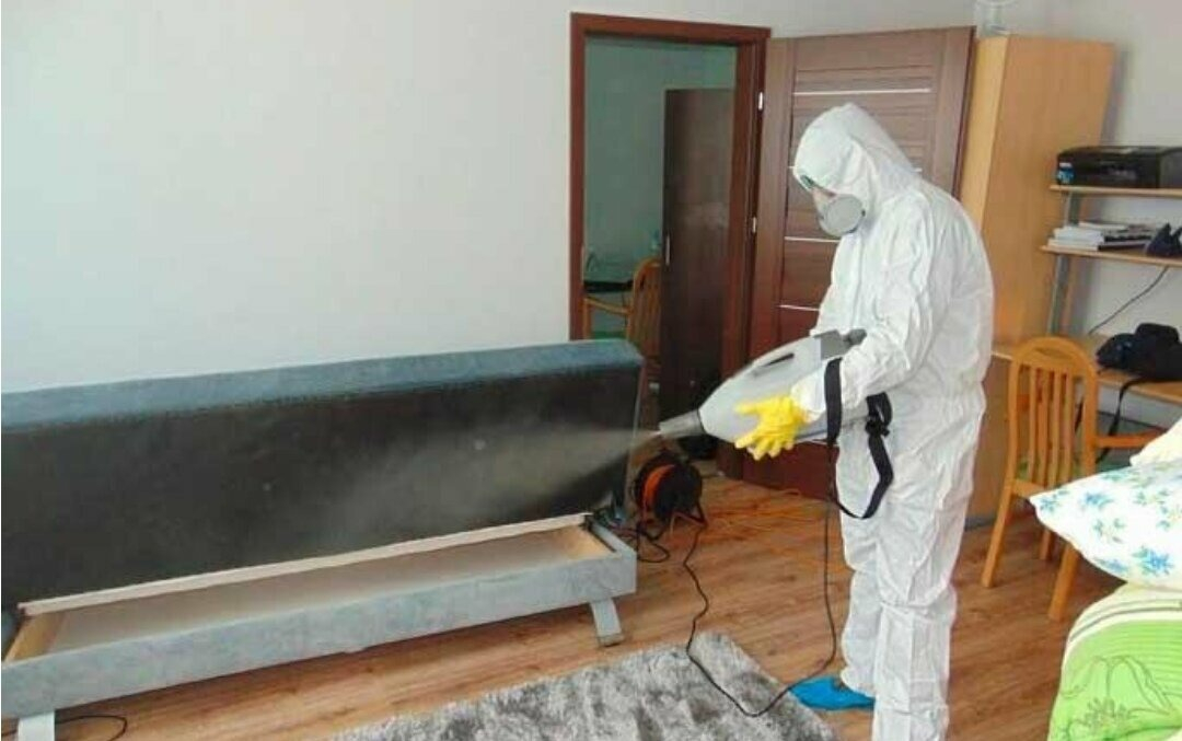 ФОТО Уничтожение блох в Тимашевске