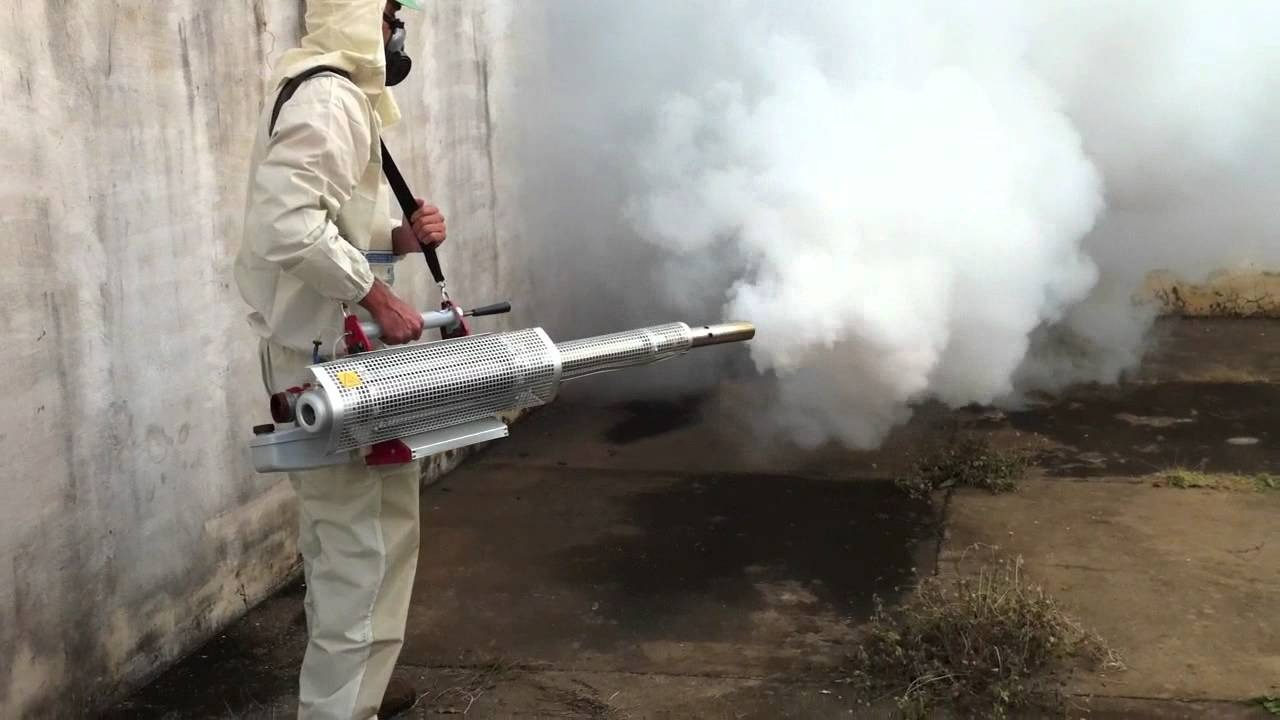 ФОТО Уничтожение мух в Тимашевске