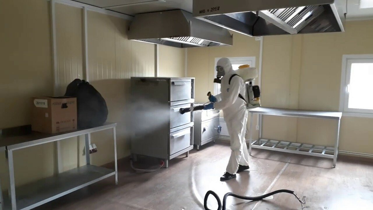 ФОТО Можно ли провести дезинсекцию самостоятельно и какие существуют риски в Тимашевске? | подробно