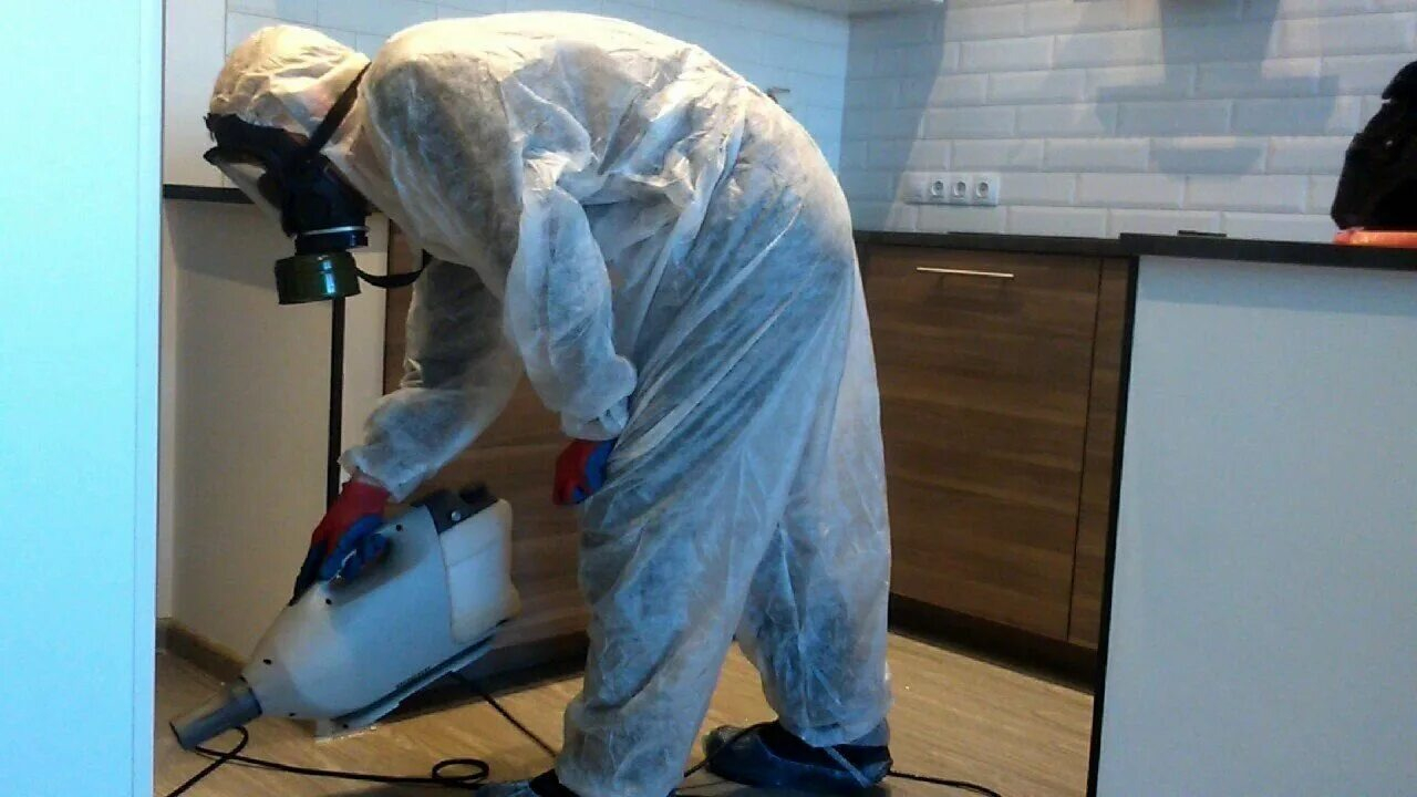 ФОТО Как подготовить домашних животных к обработке от насекомых в Тимашевске? | подробно