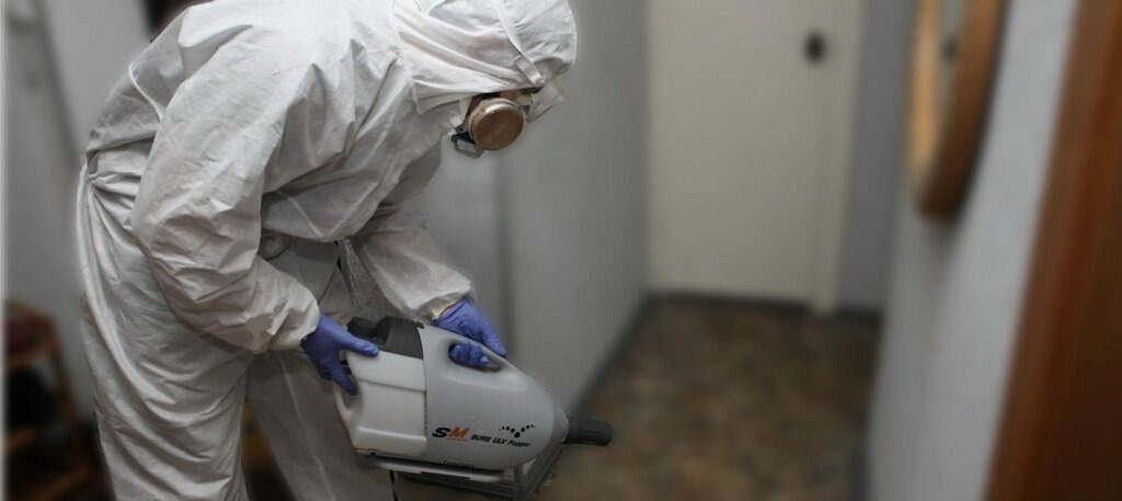 ФОТО Остаются ли следы после обработки квартиры от насекомых в Тимашевске? | подробно