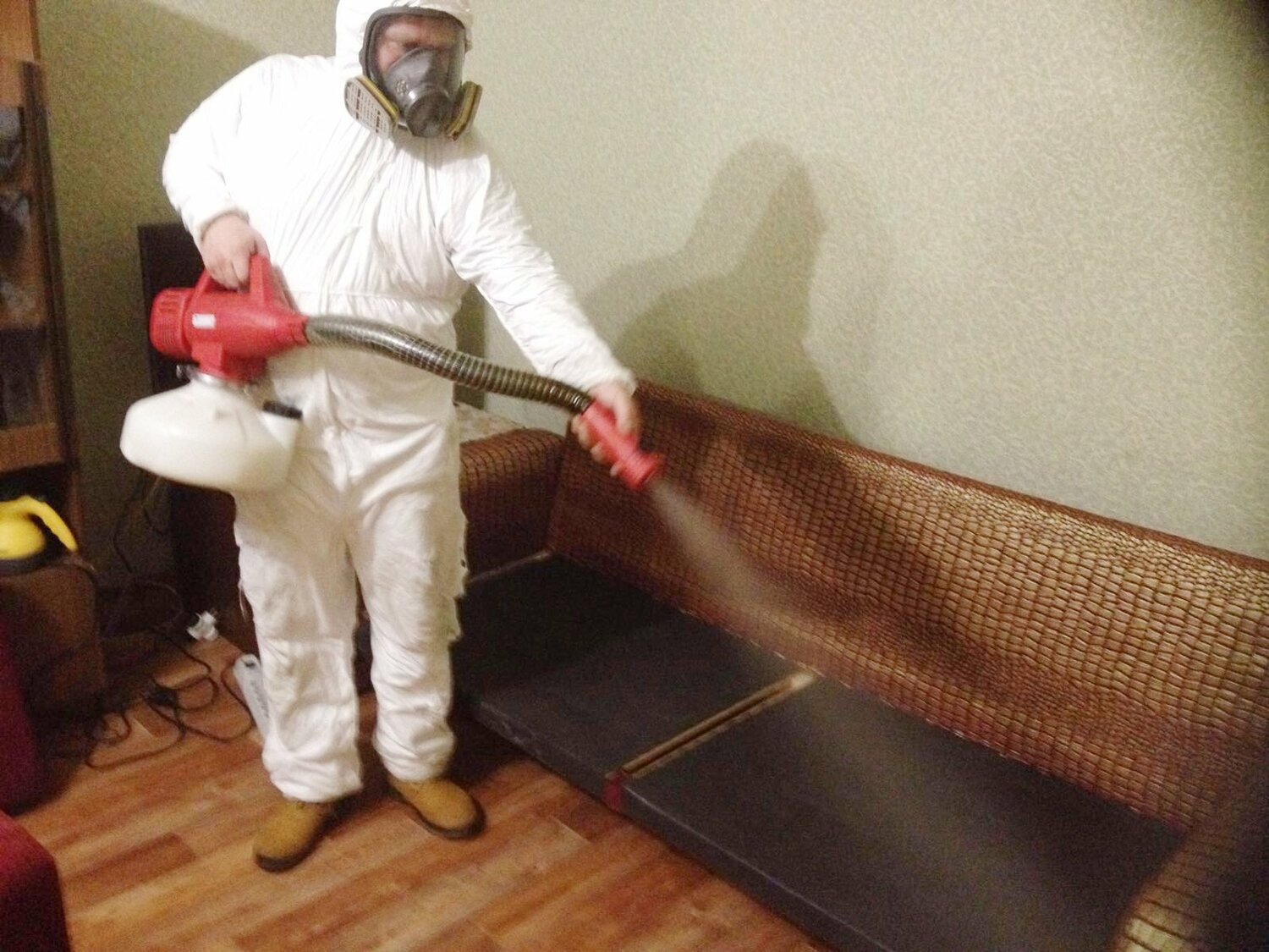 ФОТО Когда можно вернуться в помещение после дезинсекции в Тимашевске? | подробно