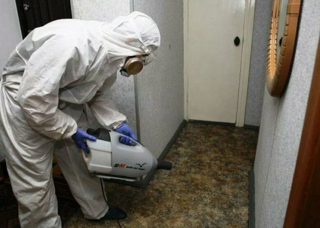 фото: Профессиональная дезинсекция в Тимашевске: <br/>+7-909-173-42-96